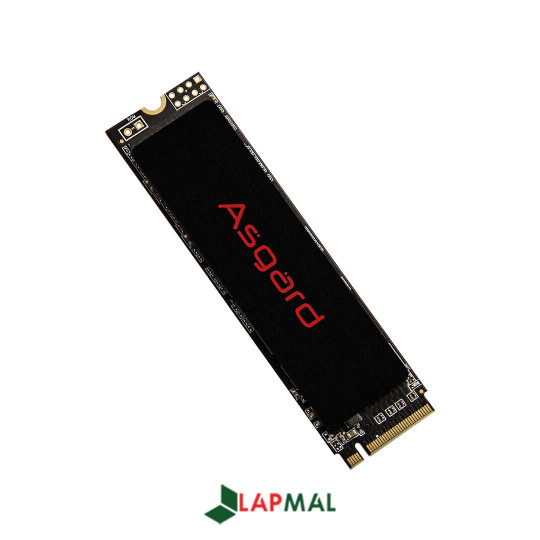 اس اس دی اینترنال ازگارد مدل AN2 ظرفیت 1 ترابایت