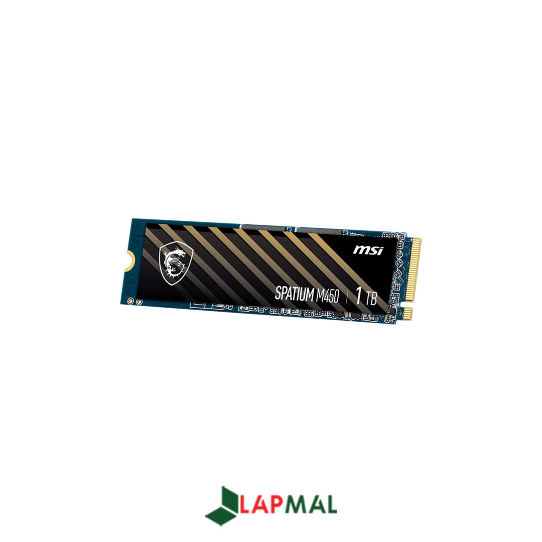 اس اس دی اینترنال ام اس آی مدل SPATIUM M450 ظرفیت 1 ترابایت - تصویر 5